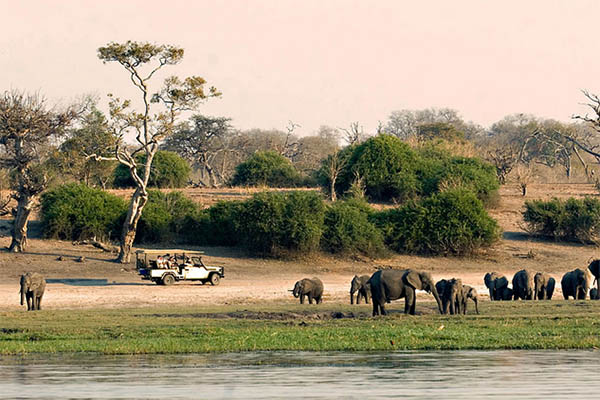 Luxury along the Chobe