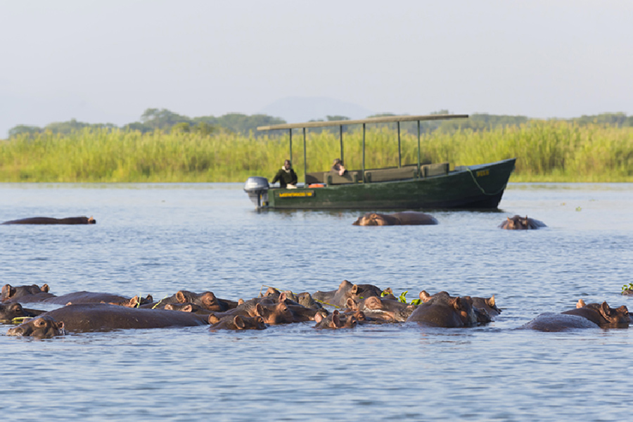 Malawi Lake + Safari