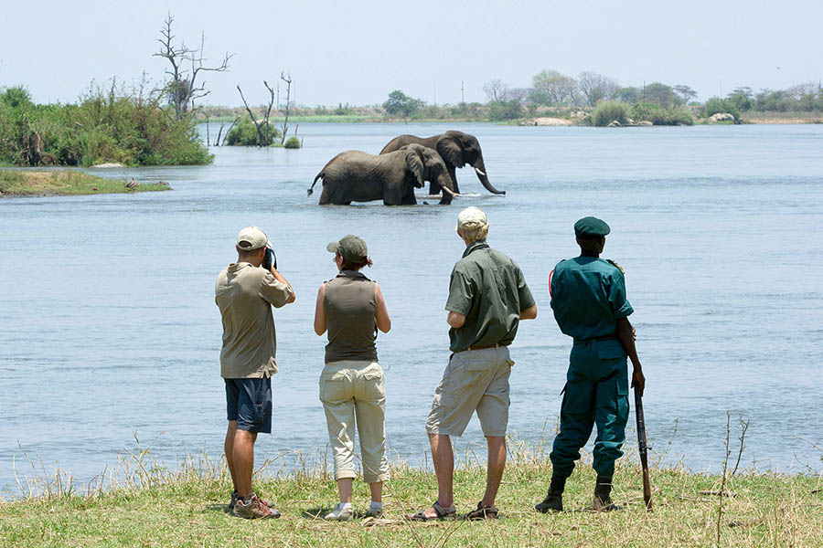 Malawi Lake + Safari