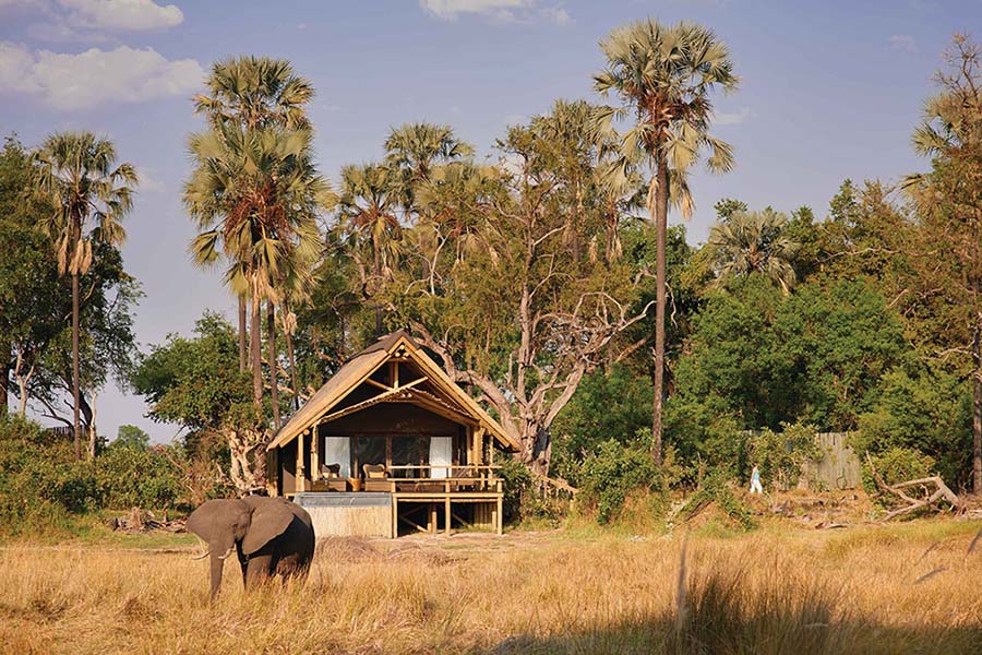 Botswana’s Delta, Moremi + Chobe