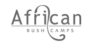 African Bush Camps