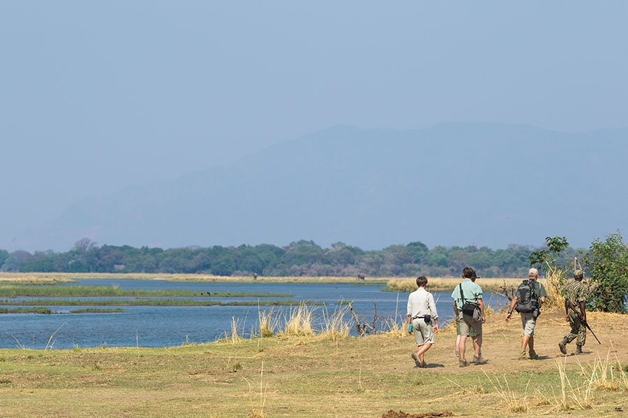 Walking Safaris