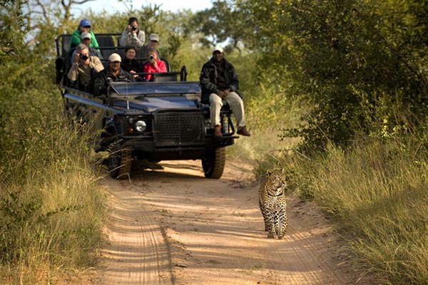 Tour & Safari - South Africa - Kruger National Park Classic Beach & Bush