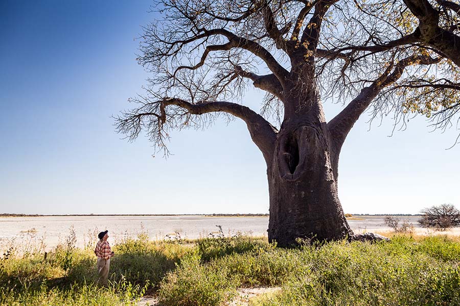 Botswana Budget Mobile Safari