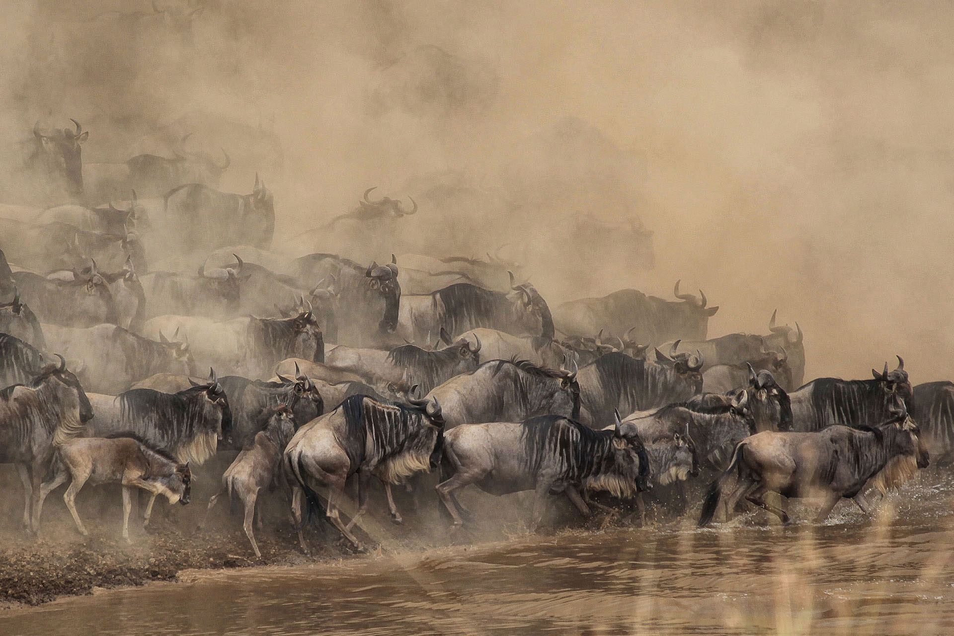 Masai Mara Fly-in Safari-Masai Mara