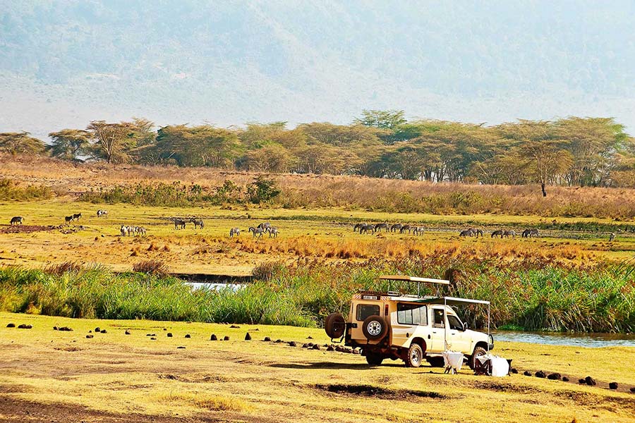 Tour & Safari - Tanzania - Serengeti Tanzania Classic + Kalindi Extension