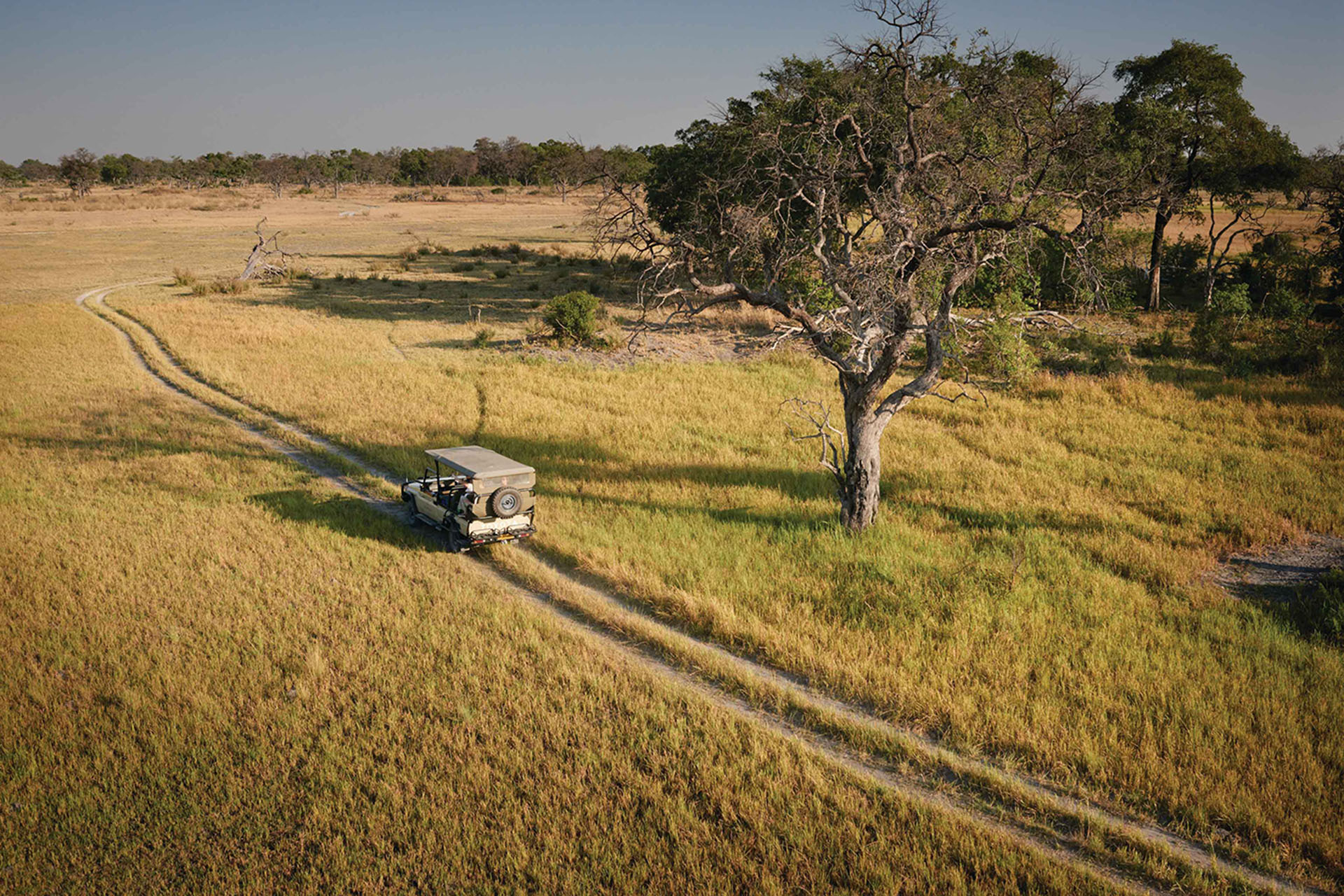 Botswana’s Delta, Moremi + Chobe-Okavango Delta, Moremi & Chobe