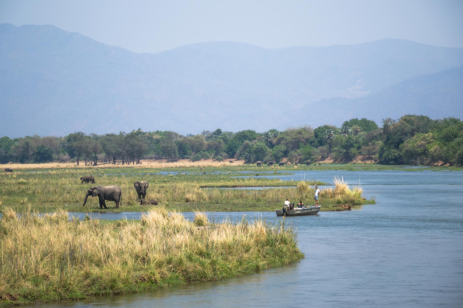 Tour & Safari Destination - Zambia - Take a walk on the wild side 